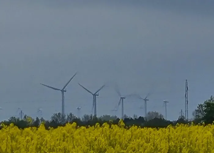 Vaerelse Til Leje 4 * Hørve
